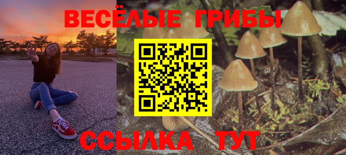 Дмитров  Галлюциногенные грибы ЛСД  Вход с VPN  Галлюциногенные грибы Psilocybine cubensis 